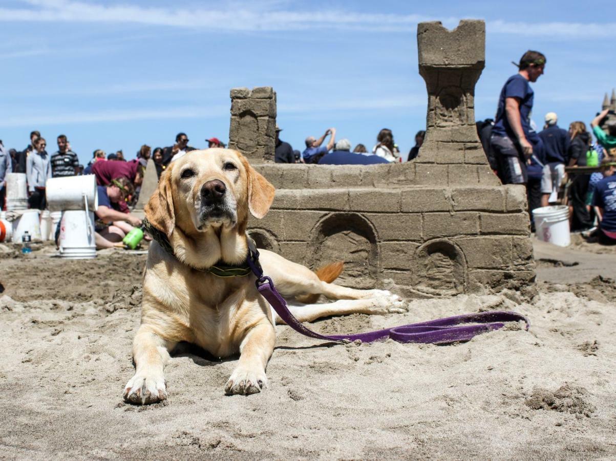 Beaches Inn | Pelicans View Cottage Cannon Beach Luaran gambar
